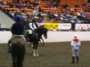 Keeps getting better-Horses Keeps getting better-Horses