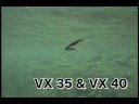 Ecogear VX 35/40 Under Water Footage Ecogear VX 35/40 Under Water Footage