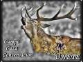 CAMPO.wmv