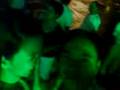 videos de hajel and lyn xmas in brunei 07
