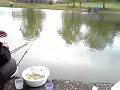 とある、近くにある池で日ごろがんばって釣りをしてる人です