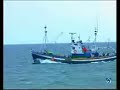 bermeo