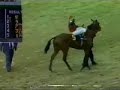 Clasico Hipodromo La Rinconada 2000 Clasico Hipodromo La Rinconada 2000