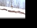 snowmobiling in michigan
