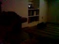 Me, rocking the projector!