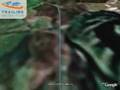 Birdwatchtour Narew nahe Wizna (Poland) -