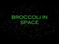 Broccoli In Space