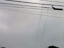 squirrel acrobating on wire