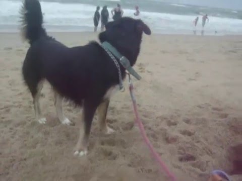 storm and the beach