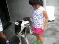 videos de kathryn