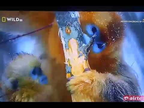 The Hidden Kingdoms of china