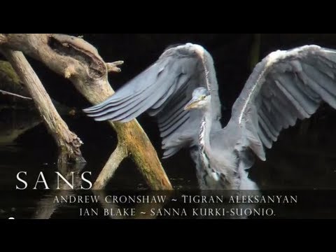 Afbeelding: 0  Andrew Cronshaw   <em>The unbroken surface of snow</em>,  tip cd  Brits 