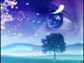 Miss-Shiva-Dreams-Co