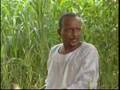 سوداني عانس !! سوداني عانس !!