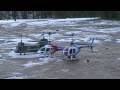 Esky New Big Lama Wind Test