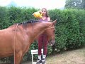 mon cheval et moi