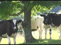 Agritourism - Vermont's Northeast Kingdom - YouTube