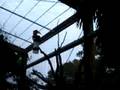 videos de Tobu-Dobutsu-koen (6 of 11)