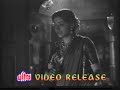 Ghanshyam Sundara _ Amar Bhupli Ghanshyam Sundara _ Amar Bhupli