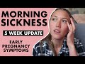 Download 5 Weeks Pregnant Symptoms Morning Sickness Remedies For Morning Sickness Mp3 Song