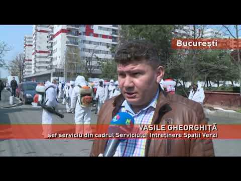 Trotuarele, spațiile verzi și scările de bloc, dezinfectate
