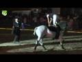 videos de gala_equestre 2008