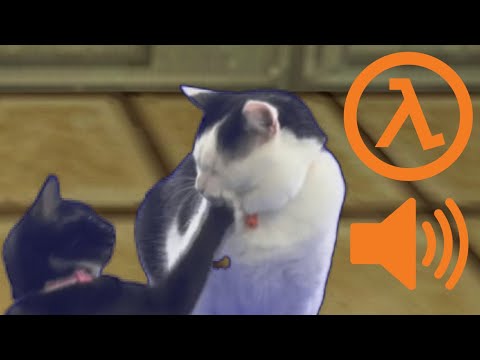 Half-Life Cats - The Dispute