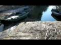videos de elpalmar: restaurante Mornell. Albufera.Valencia