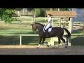 Birth Year: 1998Breed: Canadian WarmbloodBay, GeldingSize: 17.1Sire: BonaparteDam: MinaretDam Sire: MosquitoBonafide is a beautiful, lofty mover, with a personality that makes everything easier. Currently showing Prix St Georges and Intermediare-1 with Amateur rider. As easy to ride with snaffle as with a double bridle. Bonafide is a gentle giant on the ground.  E-Mail: merrillnathalie@hotmail.com