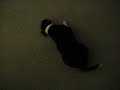 Febreeze Dog! Febreeze Dog!