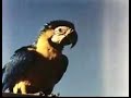Bras�lia DF 1959 - primeira parte
