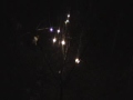 Ozark 100 miler 2009 (Area 208 night moto)
