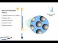 Column Chromatography