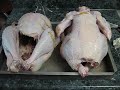 Memorial Day Weekend Turkey Smoke