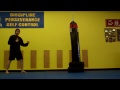 Front Push Kick