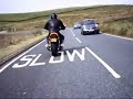 cat & fiddle A537 cat & fiddle A537