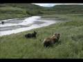 星野道夫 ALASKA_2 〜旅立ち〜