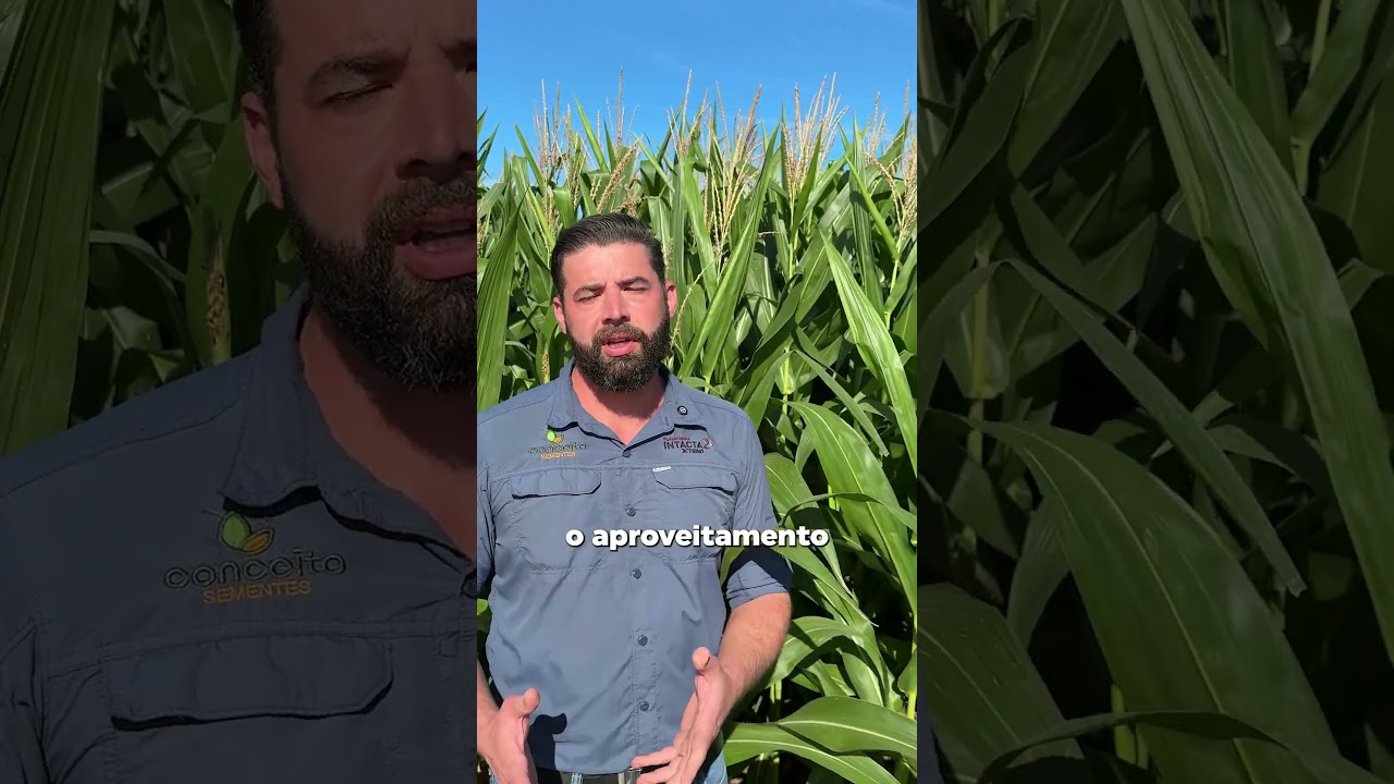Apresentação AS 1868 PRO4