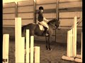 Horse Falls & Mishaps #2