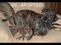 i-goodsearch-for-habitat-valparaiso.html