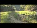 videos de mountainbiking.dv