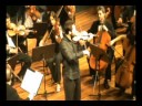 romance beethoven sorin alexandru horlea