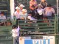 Horses Shocked, Animals Abused, Injured at Guymon (OK) Rodeo Horses Shocked, Animals Abused, Injured at Guymon (OK) Rodeo