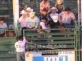 Horses Shocked, Animals Abused, Injured at Guymon (OK) Rodeo