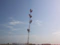 Panozzo Tower Drop Panozzo Tower Drop