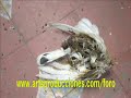 ZONA FANTASMA VIDEOS DE LA CASA EMBRUJADA 2A