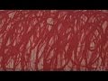 TateShots Issue 15 - Cy Twombly