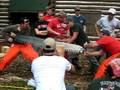 videos de instructor crosscut at NCSU woodsmen meet