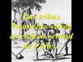 video sobre los pueblos originarios de Chile