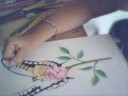 Farfalla 2� parte